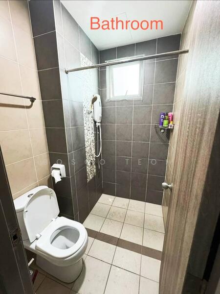 Untuk Disewa - Tree Sparina