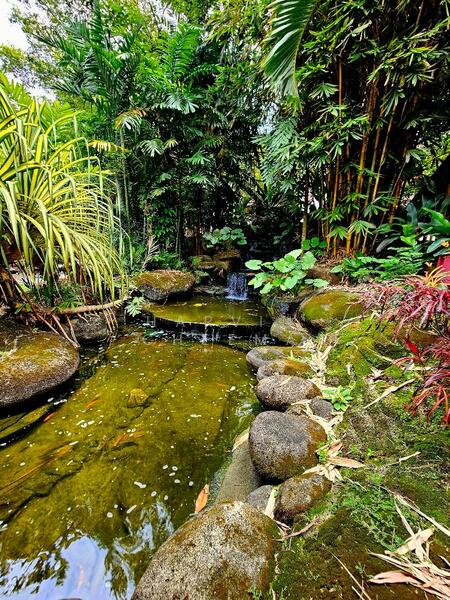 For Rent - Kiara Park