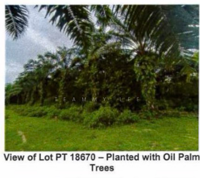 For Sale - 45.46 Acres Residential Land Tanjung Tualang Taman Mahkota Kampar