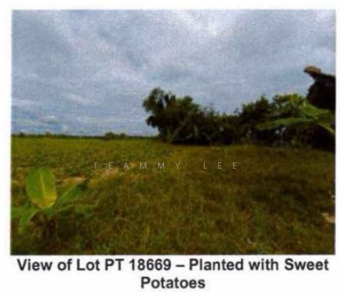 For Sale - 45.46 Acres Residential Land Tanjung Tualang Taman Mahkota Kampar