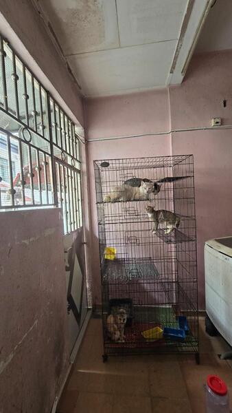 For Sale - Ulu Tiram Taman Desa Cemerlang Fully Renovated 2 Storey Terrace 4bed