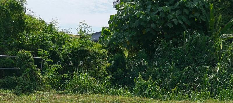 Agricultural Land for Sale in Taman Bukit Raja (Klang) - Carene Chng - PropertyGuru.com.my