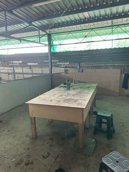 Balik Pulau untuk Untuk Disewa - RM 8,500 /bulan, Feb 2026 - PropertyGuru.com.my