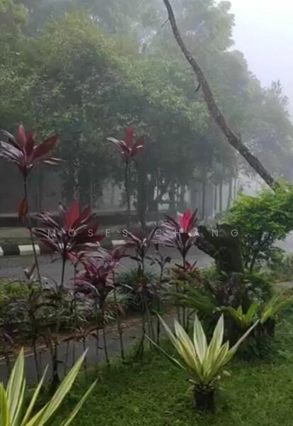 For Rent - Ramin Apartment