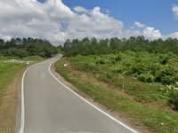 For Sale - Agriculture Land @ Pontian