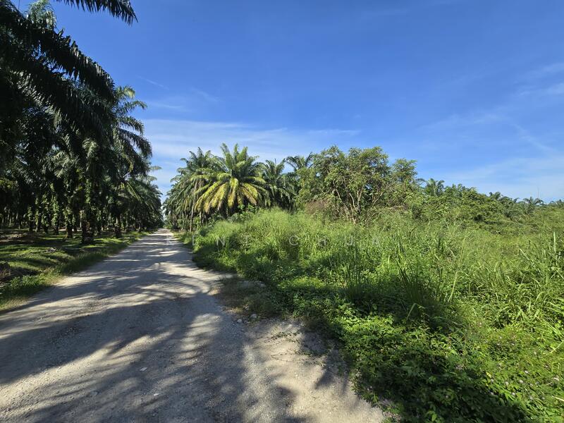 Industrial Land for Sale in Taman Harmoni (Ijok) - Kent Chua - PropertyGuru.com.my