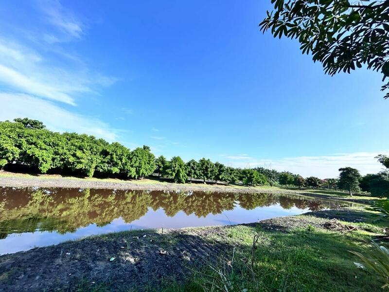 For Rent - 1-storey Terraced House at Bandar Putera 2