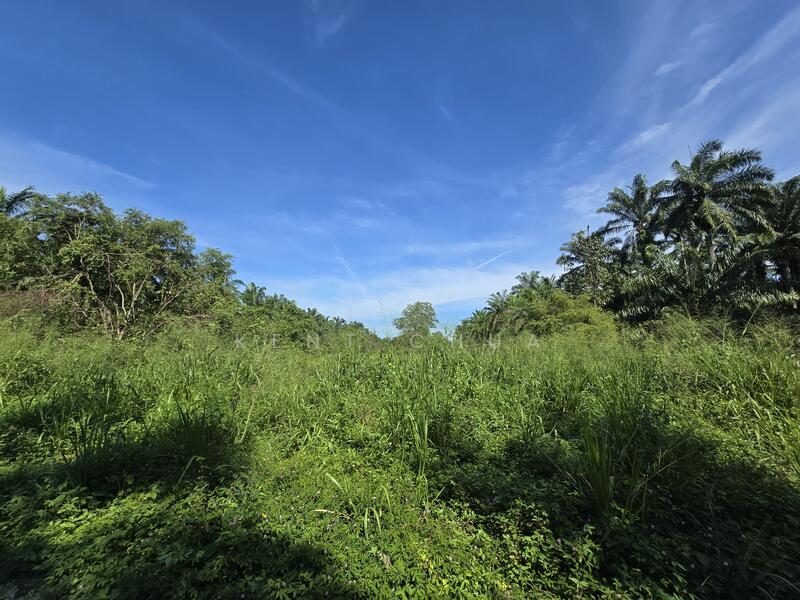 Untuk Dijual - Ijok, Selangor