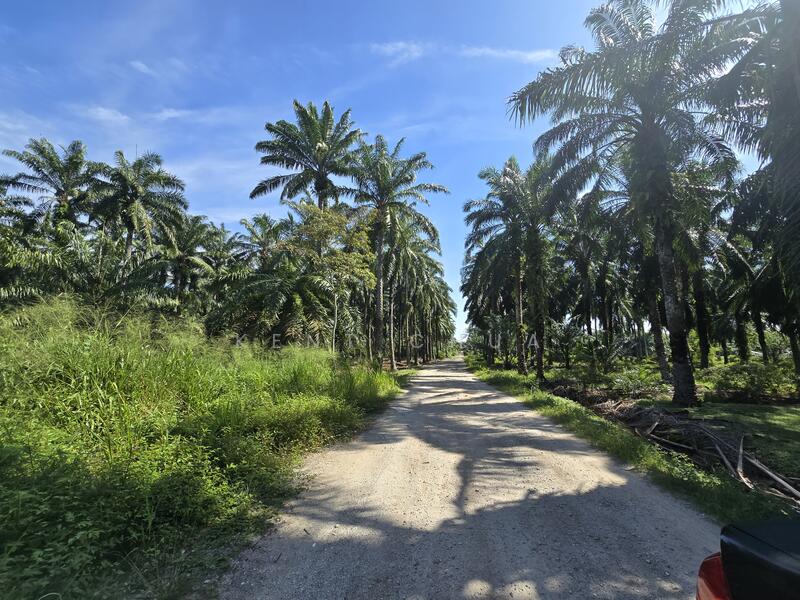 Untuk Dijual - Ijok, Selangor