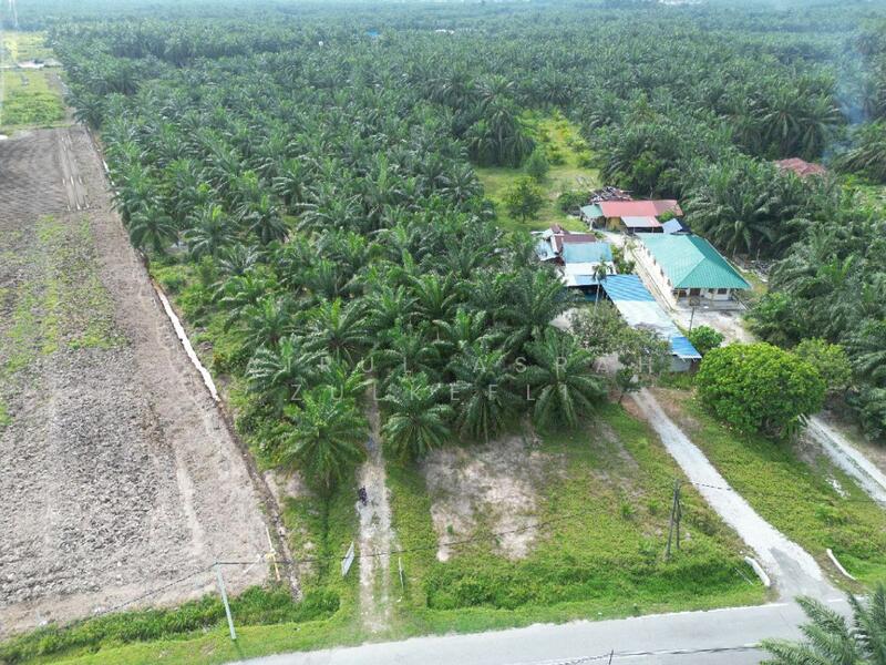 Agricultural Land for Sale in Kawasan Chodoi (Banting) - Zairul Asrah Zulkefli - PropertyGuru.com.my