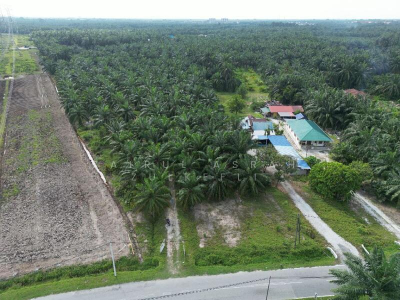 Agricultural Land for Sale in Kawasan Chodoi (Banting) - Zairul Asrah Zulkefli - PropertyGuru.com.my
