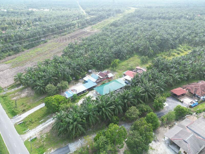 Agricultural Land for Sale in Kawasan Chodoi (Banting) - Zairul Asrah Zulkefli - PropertyGuru.com.my