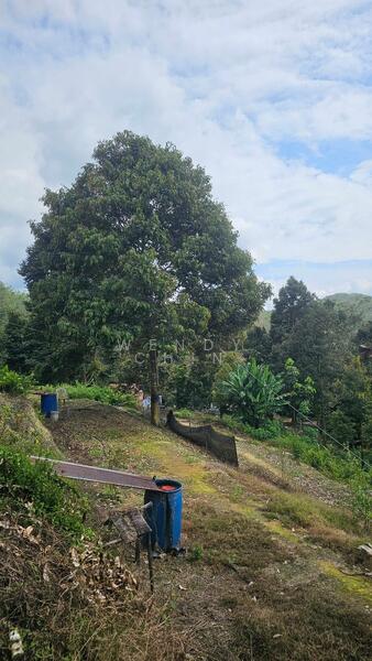 Agricultural Land for Sale in Taman Jelebu (Kuala Klawang) - Wendy Chin - PropertyGuru.com.my