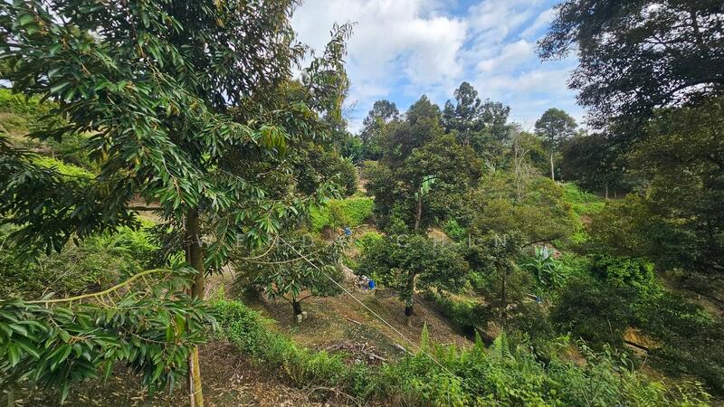 Agricultural Land for Sale in Taman Jelebu (Kuala Klawang) - Wendy Chin - PropertyGuru.com.my
