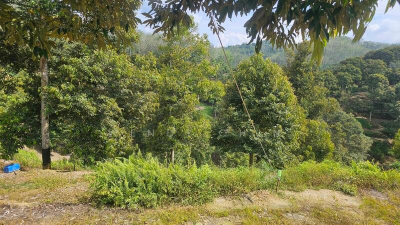 Agricultural Land for Sale in Taman Jelebu (Kuala Klawang) - Wendy Chin - PropertyGuru.com.my