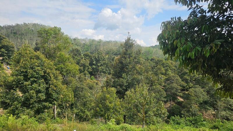Agricultural Land for Sale in Taman Jelebu (Kuala Klawang) - Wendy Chin - PropertyGuru.com.my