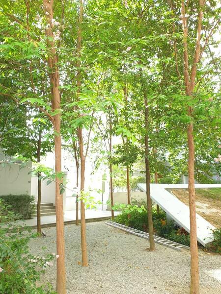 Untuk Disewa - Cluster House at Taman U Thant