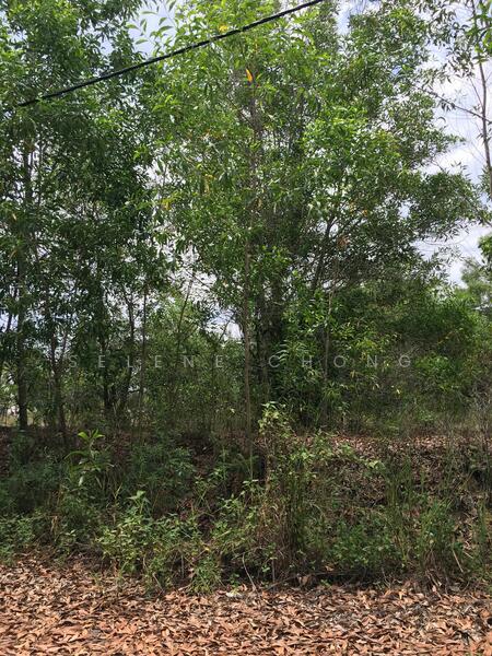 Bungalow Land for Sale in Mahkota Hills (Lenggeng) - Selene Chong - PropertyGuru.com.my