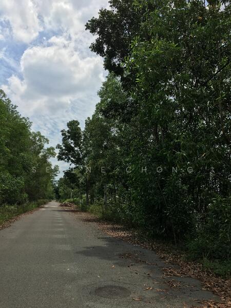 Bungalow Land for Sale in Mahkota Hills (Lenggeng) - Selene Chong - PropertyGuru.com.my