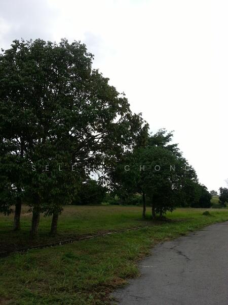 Bungalow Land at College Heights Garden Resort untuk Untuk Dijual - RM 178,280, Feb 2026 - PropertyGuru.com.my