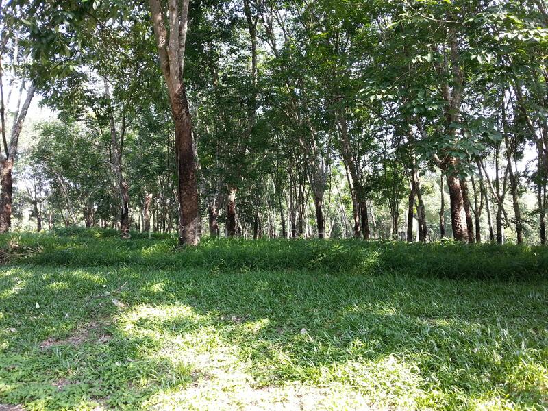 Bungalow Land at College Heights Garden Resort untuk Untuk Dijual - RM 193,200, Feb 2026 - PropertyGuru.com.my