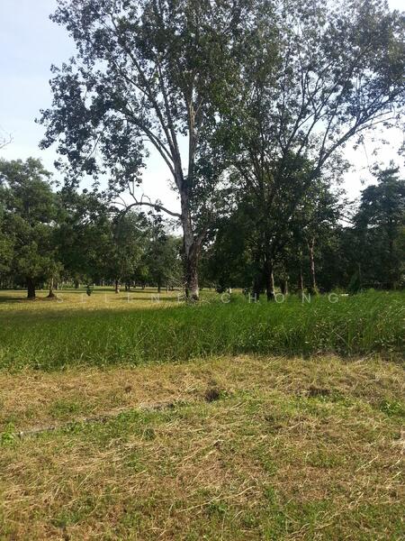 Bungalow Land at College Heights Garden Resort untuk Untuk Dijual - RM 200,600, Feb 2026 - PropertyGuru.com.my