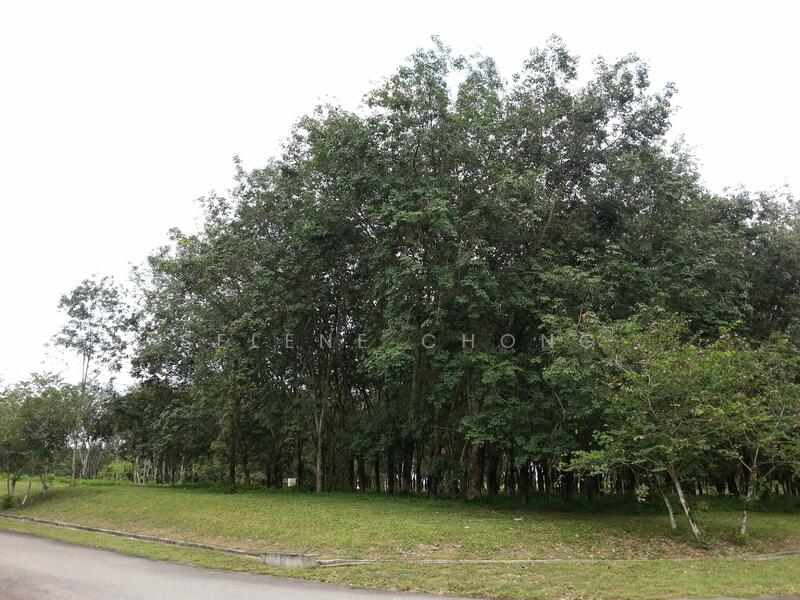 Residential Land for Sale in College Heights Garden Resort (Setul) - Selene Chong - PropertyGuru.com.my