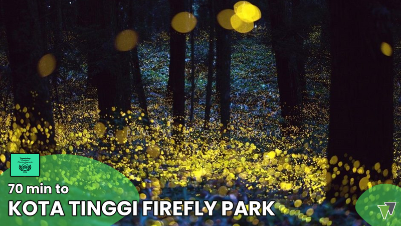 For Sale - ⭐ 5sty ⭐ 3 Adjoining Lots ⭐ Freehold ⭐ 25,400sf ⭐ Next to CIQ, JBCC