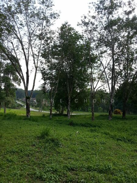 Bungalow Land at College Heights Garden Resort untuk Untuk Dijual - RM 165,000, Feb 2026 - PropertyGuru.com.my
