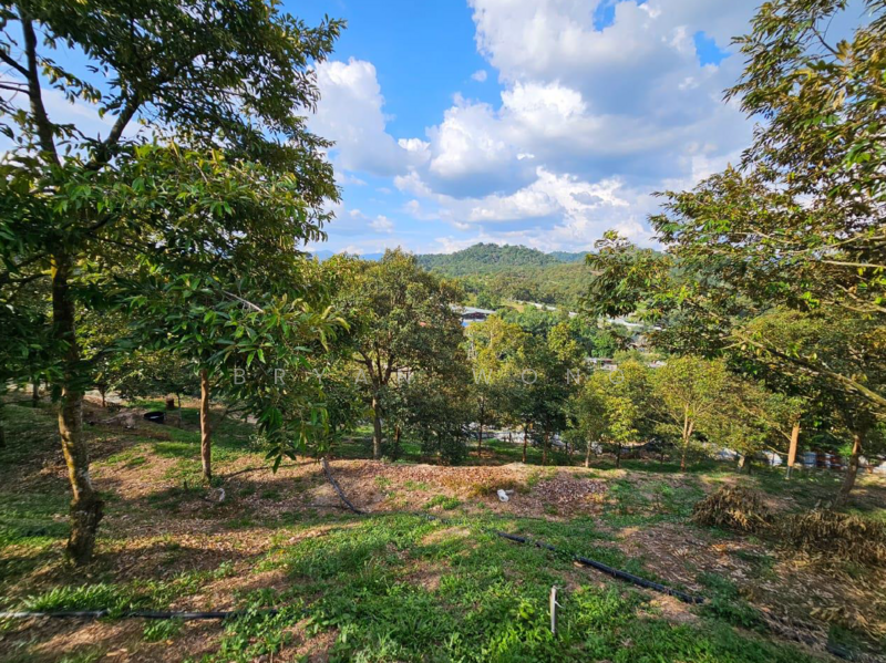 Agricultural Land for Sale in Kampung Sungai Makau (Hulu Langat) - Bryan Wong - PropertyGuru.com.my