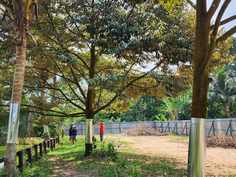 Agricultural Land for Sale in Kampung Sungai Makau (Hulu Langat) - Bryan Wong - PropertyGuru.com.my