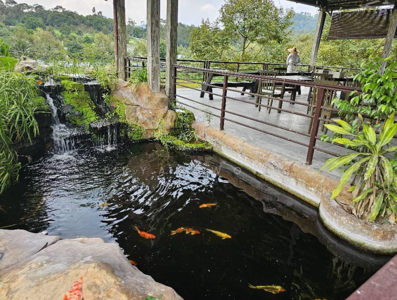 Agricultural Land for Sale in Kampung Sungai Makau (Hulu Langat) - Bryan Wong - PropertyGuru.com.my