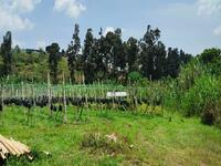 For Sale - 12 Acres Flat Agriculture Land Freehold Kerling Town Hulu Selangor