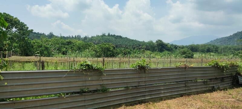 Agricultural Land for Sale in Kampung Baru (Kerling) - H.K Ching - PropertyGuru.com.my