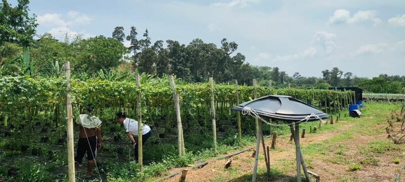 Agricultural Land for Sale in Kampung Baru (Kerling) - H.K Ching - PropertyGuru.com.my