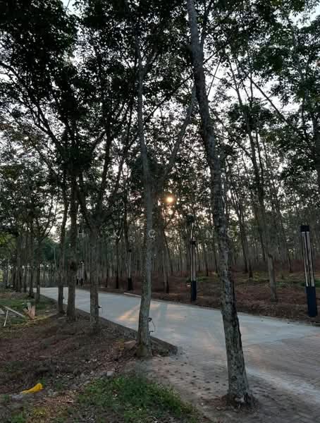 Hotel / Resort for Sale in Taman Kasa Heights (Alor Gajah) - H.K Ching - PropertyGuru.com.my