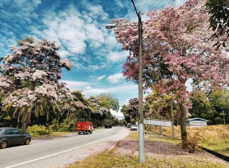 26 Acres Freehold Rubber Trees Land with 2 Resorts, Alor Gajah Lendu untuk Untuk Dijual - RM 22,000,000, Feb 2026 - PropertyGuru.com.my