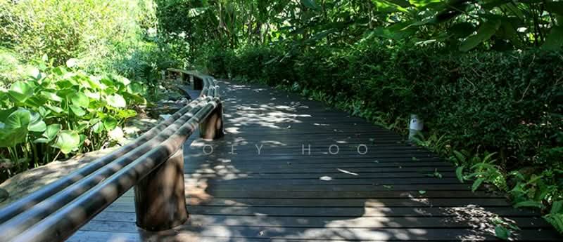 Condominium for Sale at Seringin Residences - Joey Hoo - PropertyGuru.com.my