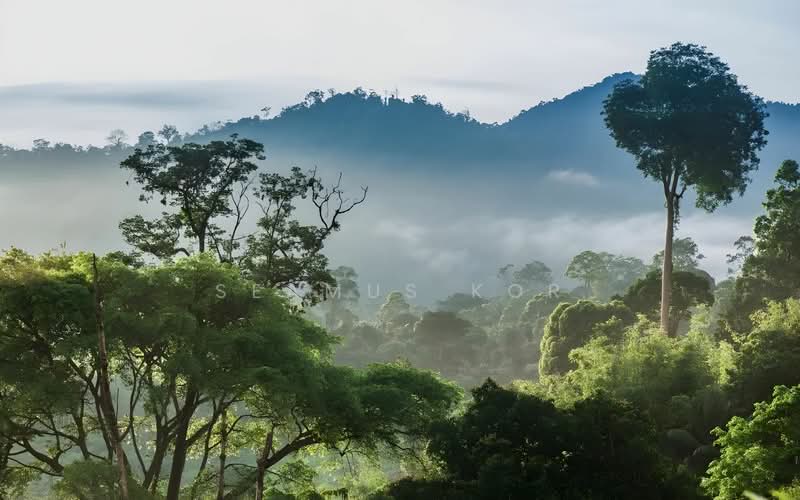 Bungalow for Sale in Bukit Tinggi (Bentong) - Seamus Kor - PropertyGuru.com.my