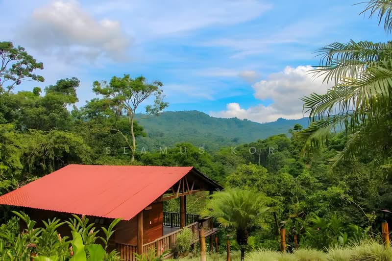 Bungalow for Sale in Bukit Tinggi (Bentong) - Seamus Kor - PropertyGuru.com.my