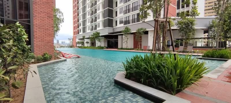 Untuk Disewa - The Birch