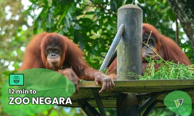 Hotel / Resort for Sale in Taman Danau Kota (Setapak) - Seamus Kor - PropertyGuru.com.my