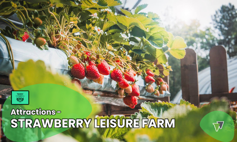 ⭐ ROI 5% ⭐ 3 Star Detached ⭐ Freehold ⭐ 92 Rooms ⭐ RM400k / Room ⭐ untuk Untuk Dijual - RM 36,000,000, Mac 2026 - PropertyGuru.com.my