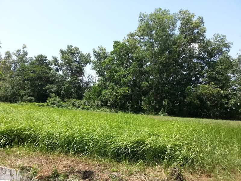 Residential Land for Sale in College Heights Garden Resort (Setul) - Selene Chong - PropertyGuru.com.my