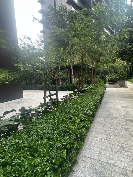 For Rent - Pavilion Damansara Heights