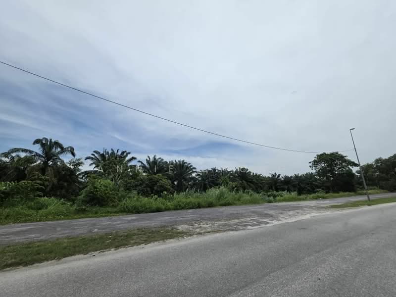 Industrial Land for Rent in Kampung Selangor Dredging (Dengkil) - Annie Chong - PropertyGuru.com.my