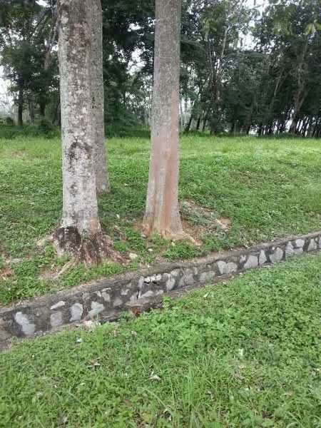 Bungalow Land for Sale in College Heights Garden Resort (Setul) - Selene Chong - PropertyGuru.com.my