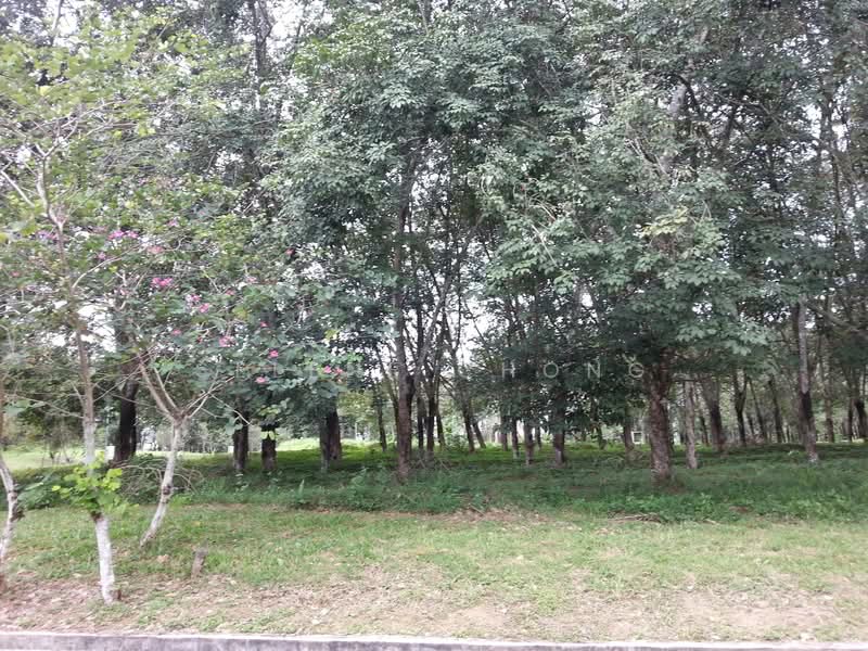 Bungalow Land for Sale in College Heights Garden Resort (Setul) - Selene Chong - PropertyGuru.com.my