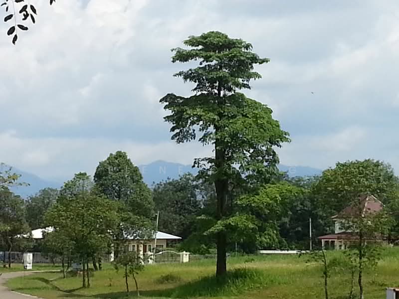 Bungalow Land for Sale in Setul (Mantin) - Selene Chong - PropertyGuru.com.my