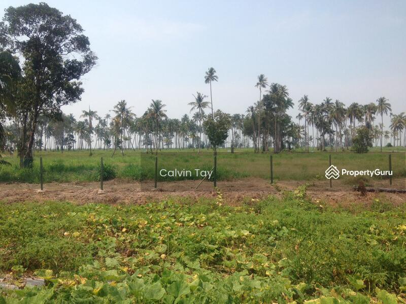 43 Acres Land at Golden Beach, Kuching, Kuching, Sarawak
